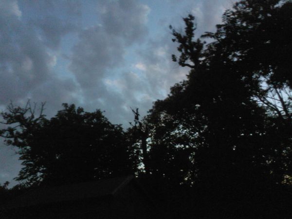 SP_A0130.jpg