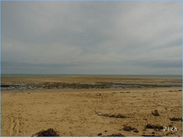 P1090754.jpg