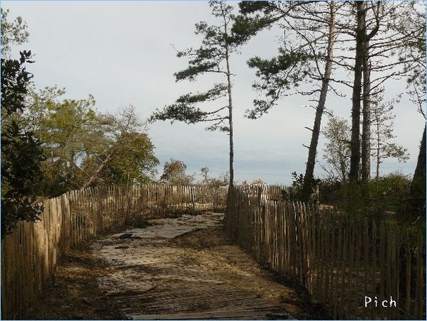 P1090759