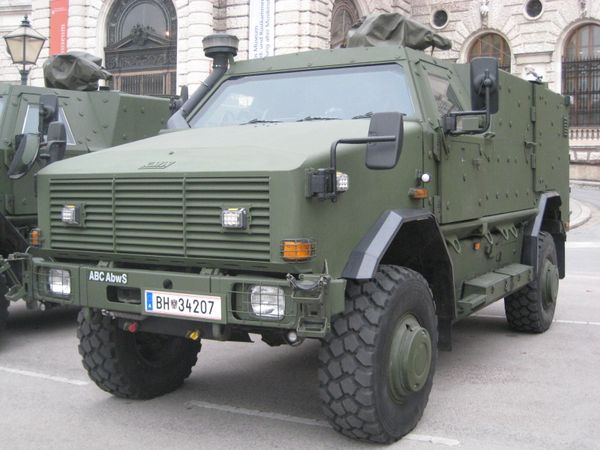 Dingo22.jpg