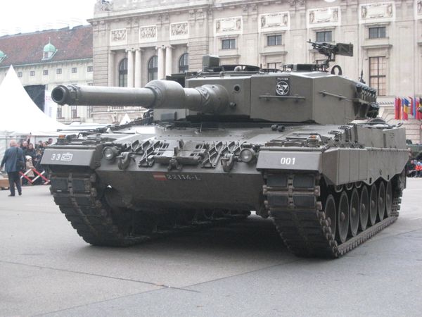 leoppard2.jpg