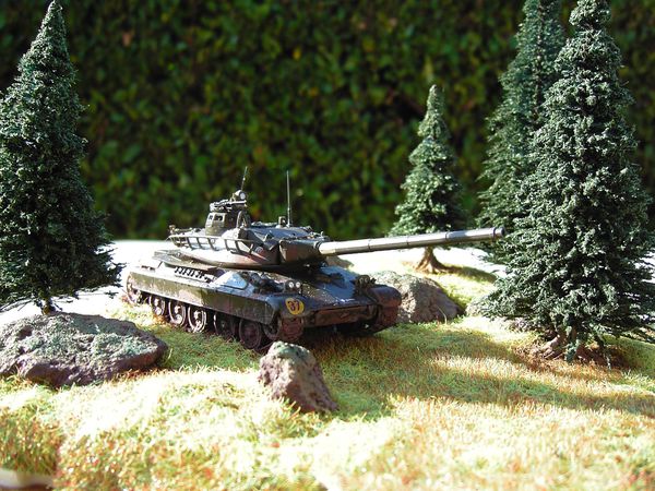 Amx30e.JPG