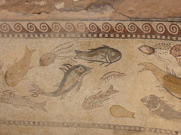 Sbeitla-mosaique-poissons--2-.JPG