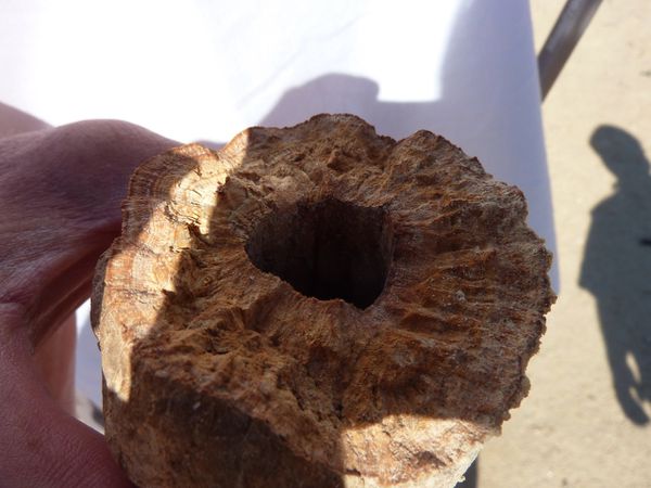 chot-el-djerid--7-.JPG