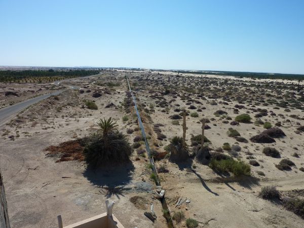 chot-el-djerid--8-.JPG