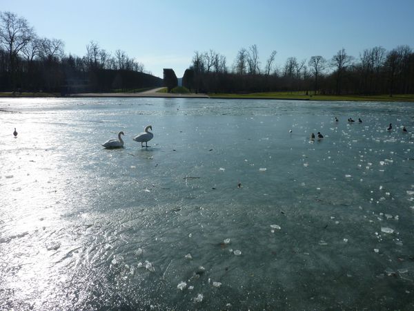 2012 février (19)