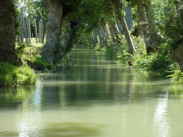 marais (5)