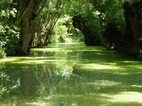 marais (7)