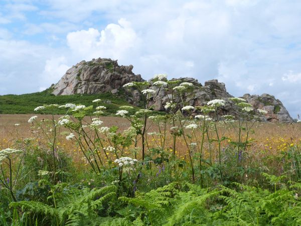 2012 08 bre1