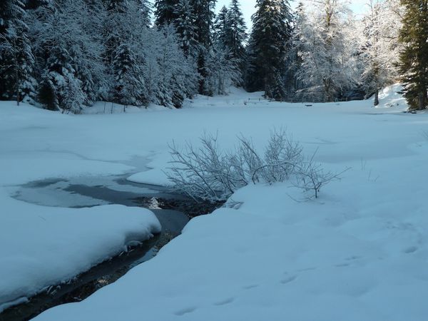 etang