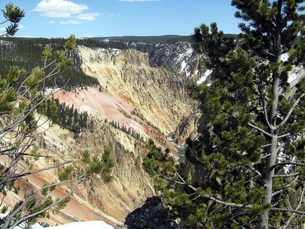 05-mai-2008--Yellowstone-110.JPG