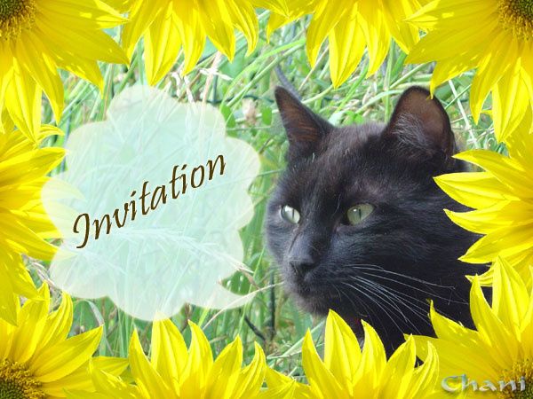 Carte d'Invitation à imprimer - Printa Caramba
