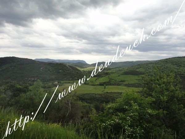 DSC07921
