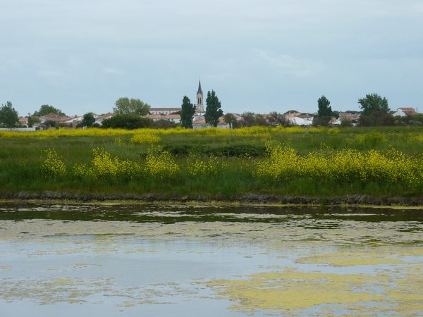 La-Couarde-vue-de-l-etang.JPG