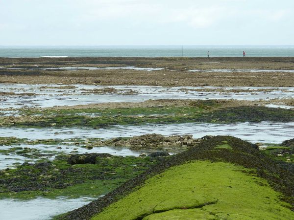 La mer au phare des baleines 2