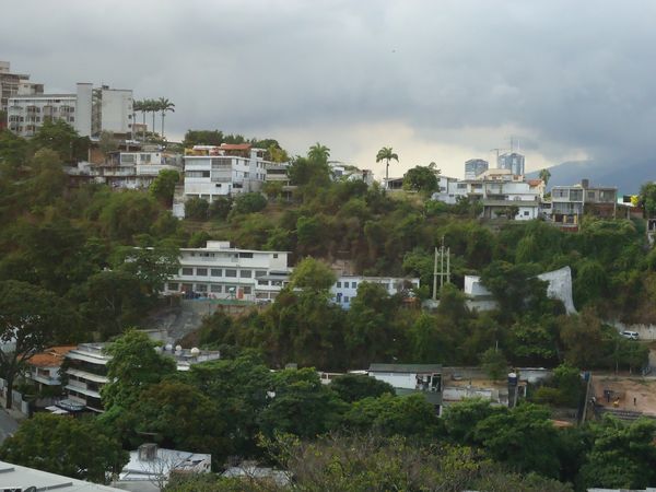 DSC00537