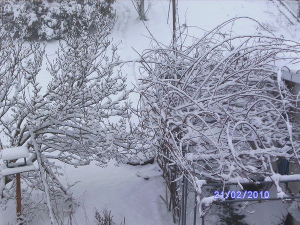 ann2010-1 070