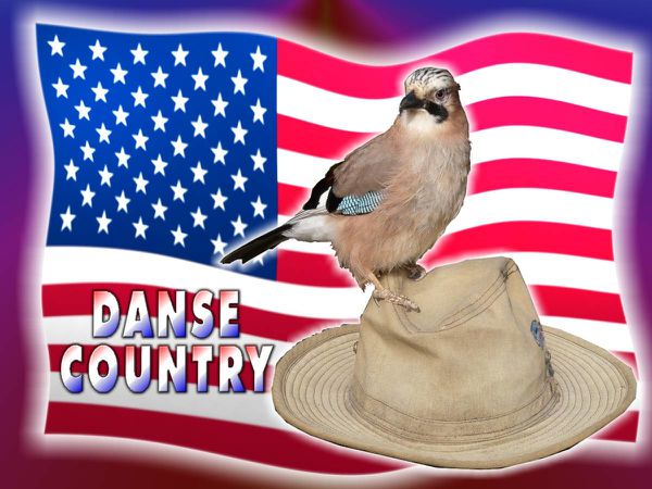 Noe-Danse country