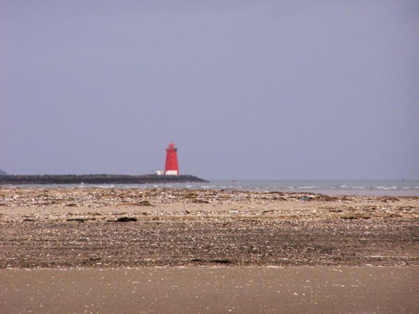 P1010143