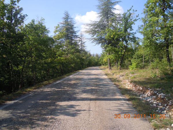 Les-cingles-du-Ventoux-2011-090.JPG