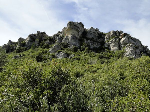 DSC02331