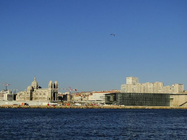 DSC08818.JPG