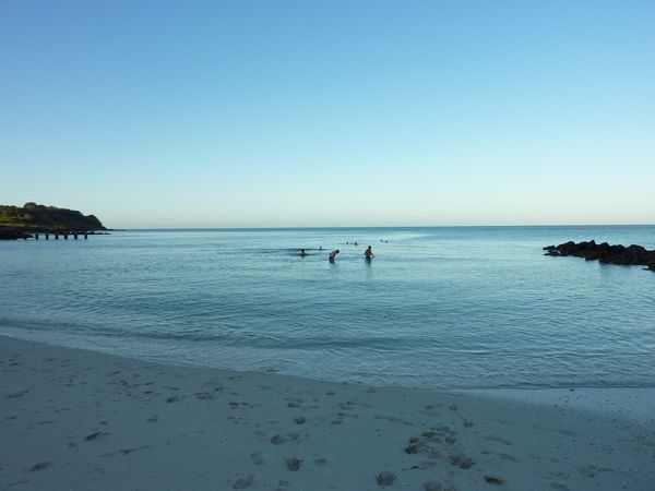 P1060323-3.JPG