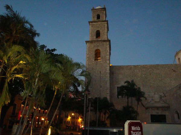 P1050772.JPG