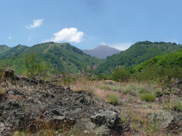 ETNA (34)