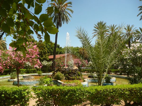 PALERME - Palais des Normands (2)