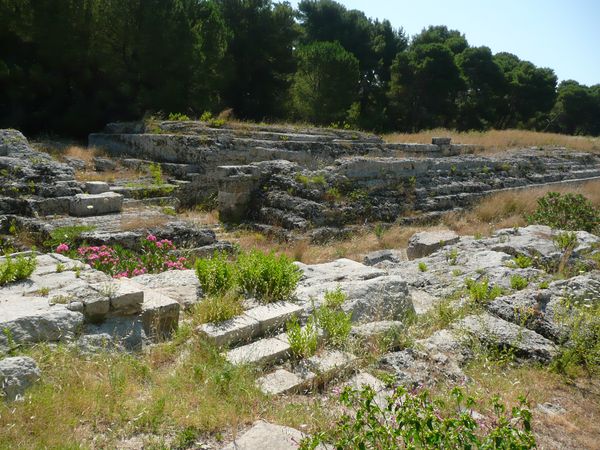 SYRACUSE - Parc archéologique (9)
