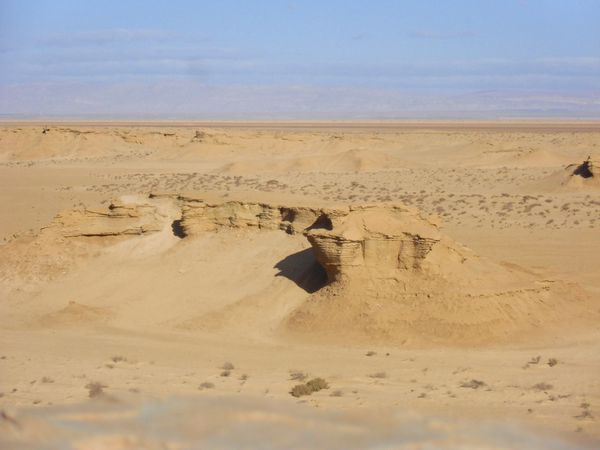 Dunes de Nefta (18)