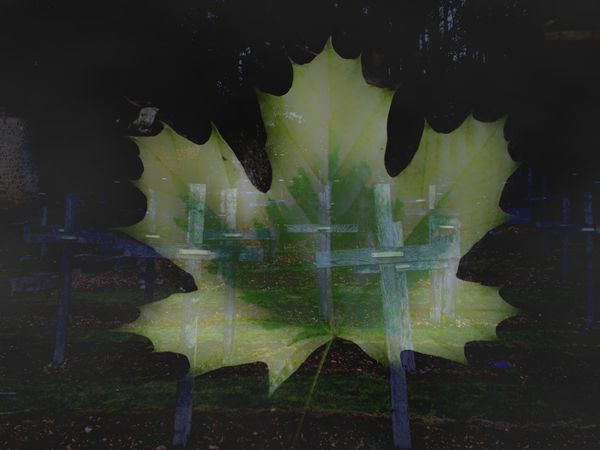 feuille et tombe