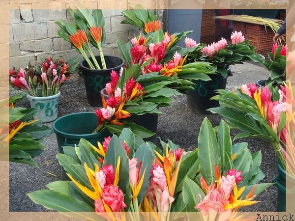 Express Market Guyane - Inspirez profondément🌈. Des fleurs