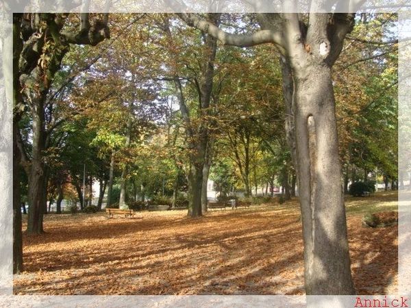 automne2