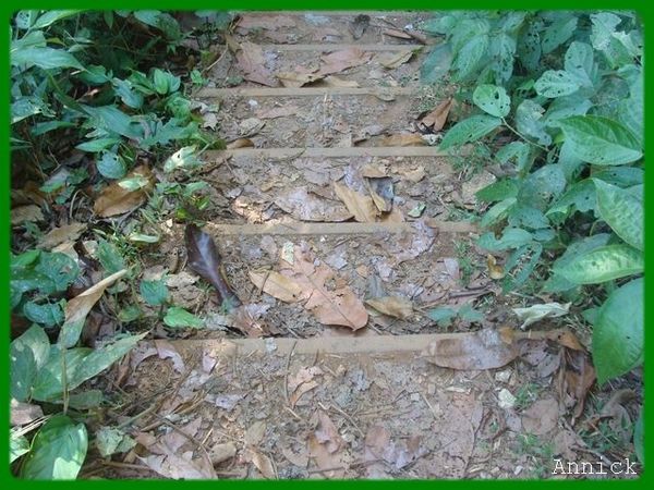 escalier12