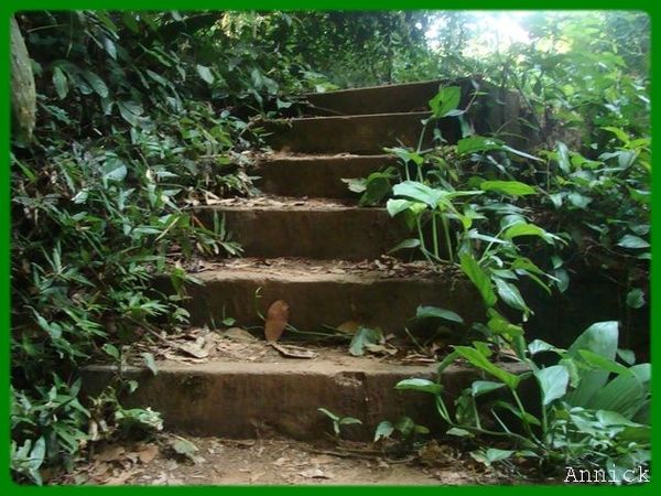escalier4