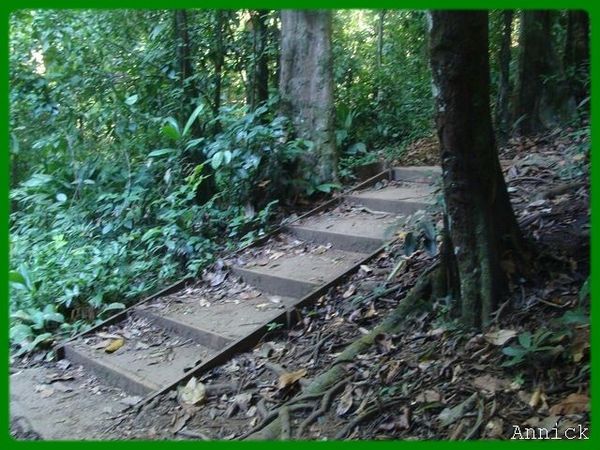 escalier5