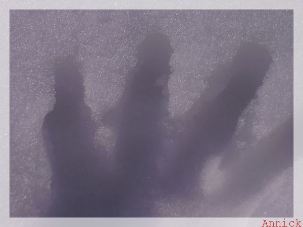 hiver2