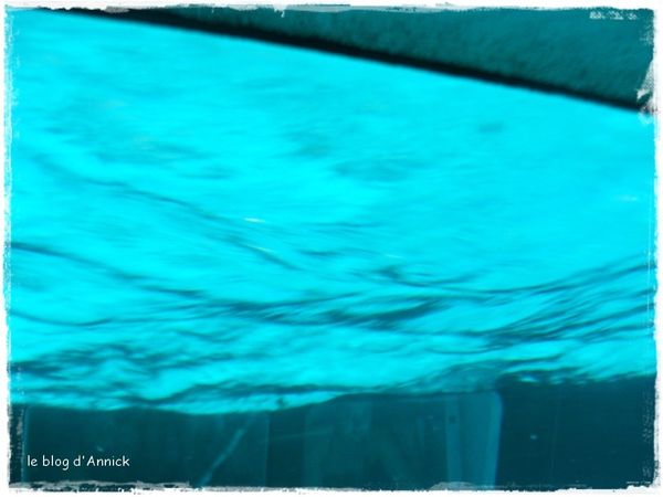 DSC05923 (Copier)