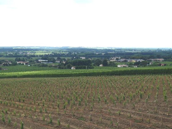 mauriac 4