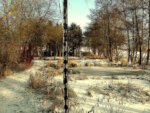 Neige 2009 009