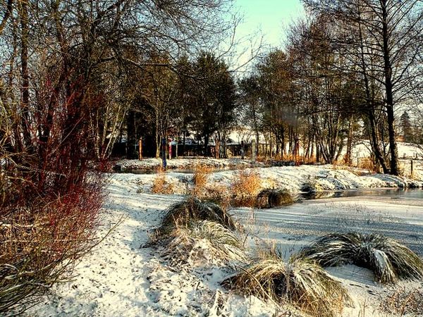Neige 2009 010