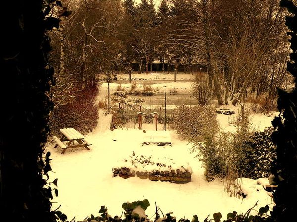 Neige 2009-2 002