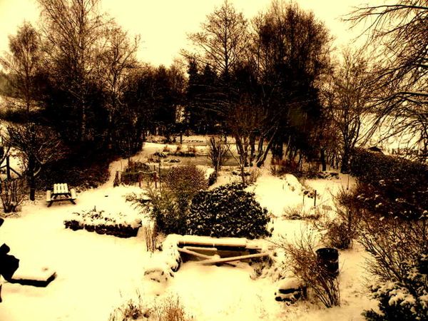 Neige 2009-2 003