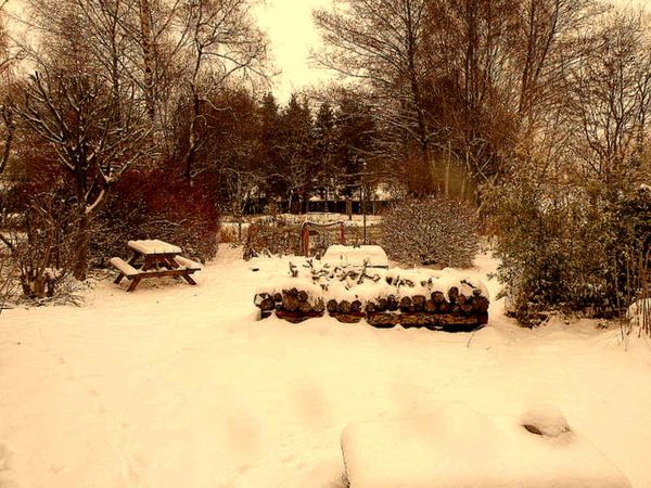 Neige 2009-2 006