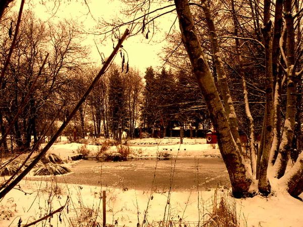 Neige 2009-2 008