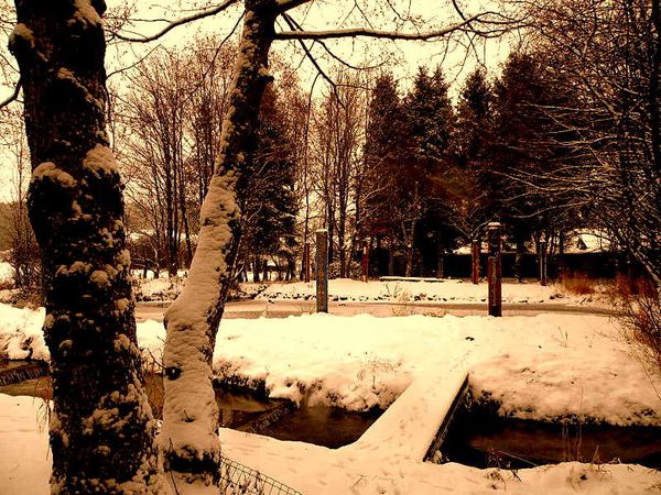 Neige 2009-2 011