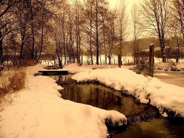 Moircy-Libramont-Propr!été Vancau-Ruisseau du HossireNeige 2009-2 015