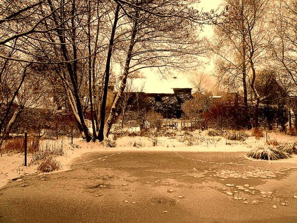 Neige 2009-2 016